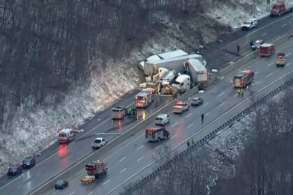Driver Fatally Strikes Deer on Pa. Turnpike in Lower Moreland