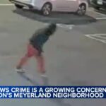 Surge in Meyerland Crime Continues with Latest Purse-Snatching Incident