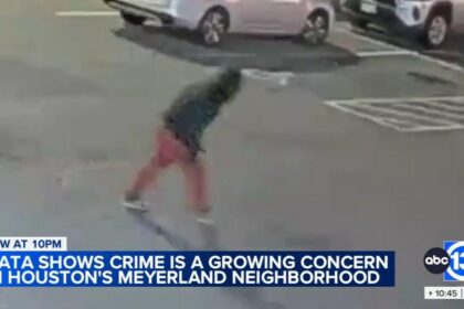 Surge in Meyerland Crime Continues with Latest Purse-Snatching Incident
