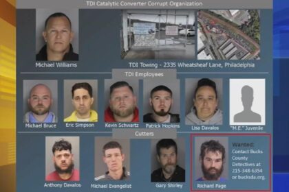 Mastermind and Accomplices Sentenced in .2M Catalytic Converter Theft Ring Bust Mastermind and Accomplices Sentenced in .2M Catalytic Converter Theft Ring Bust