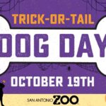 Join the Fun: San Antonio Zoo Dog Day at Zoo Lights Celebration!