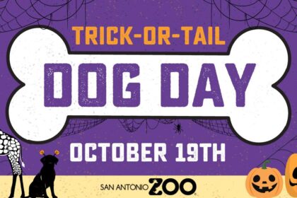 Join the Fun: San Antonio Zoo Dog Day at Zoo Lights Celebration!