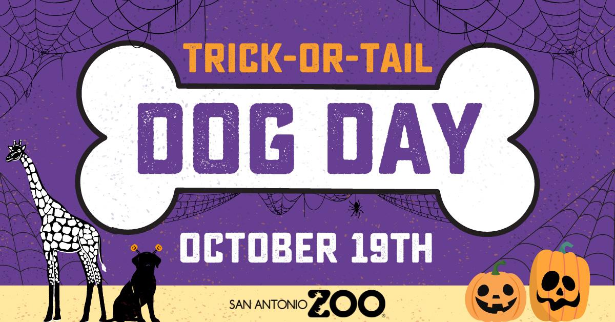 Join the Fun: San Antonio Zoo Dog Day at Zoo Lights Celebration! Join the Fun: San Antonio Zoo Dog Day at Zoo Lights Celebration!