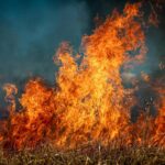 California Wildfires Devastate Entertainment and Tourism Industries