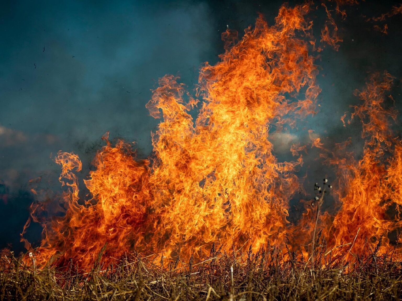 California Wildfires Devastate Entertainment and Tourism Industries California Wildfires Devastate Entertainment and Tourism Industries