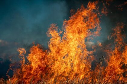 California Wildfires Devastate Entertainment and Tourism Industries