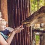 Discover the Ultimate Zoo Experience: A Must-Visit Destination!