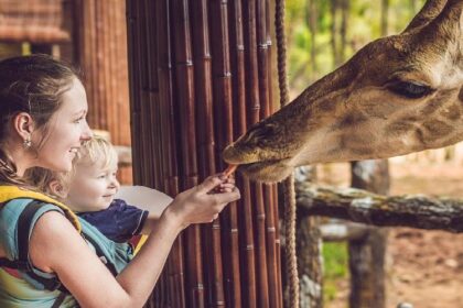 Discover the Ultimate Zoo Experience: A Must-Visit Destination! Discover the Ultimate Zoo Experience: A Must-Visit Destination!