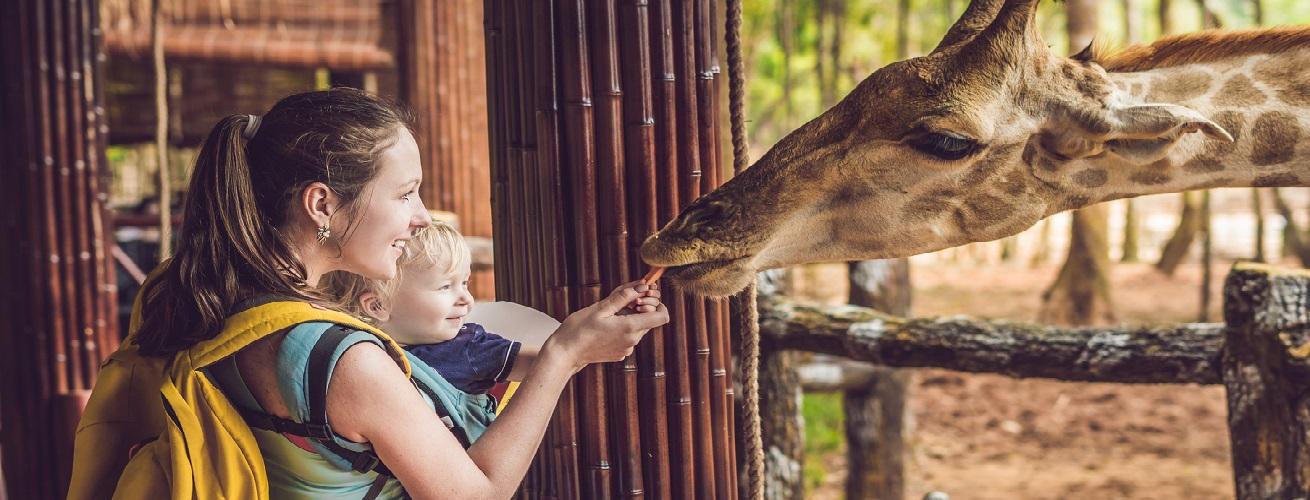 Discover the Ultimate Zoo Experience: A Must-Visit Destination! Discover the Ultimate Zoo Experience: A Must-Visit Destination!