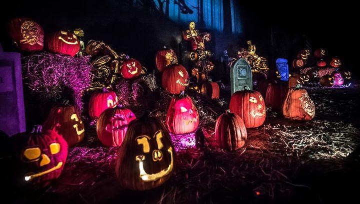 Discover the Coolest Glow-in-the-Dark Jack O’Lanterns Transforming Philadelphia into an Art Showcase Discover the Coolest Glow-in-the-Dark Jack O’Lanterns Transforming Philadelphia into an Art Showcase