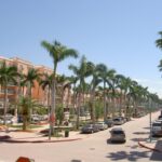 Cast Your Vote: Mizner Park Emerges as a Leading Favorite in the 10BEST Shopping Centers Contest!