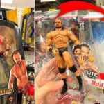 Couple Arrested in San Diego After Police Recover Thousands Worth of Stolen Wrestling Action Figures