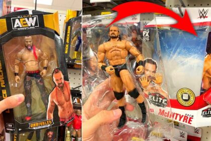 Couple Arrested in San Diego After Police Recover Thousands Worth of Stolen Wrestling Action Figures