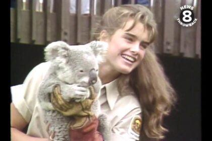 Brooke Shields Opens Up About Her Thrilling Internship Adventure at the San Diego Zoo Brooke Shields Opens Up About Her Thrilling Internship Adventure at the San Diego Zoo