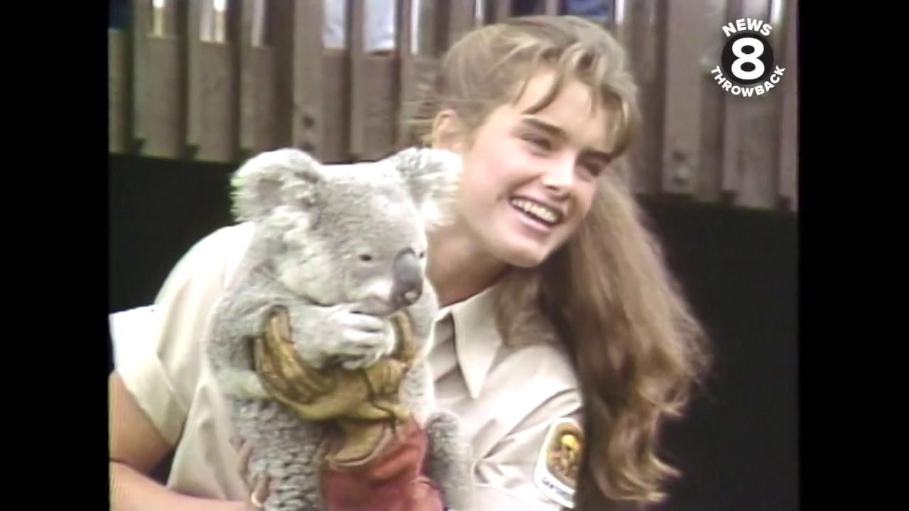 Brooke Shields Opens Up About Her Thrilling Internship Adventure at the San Diego Zoo Brooke Shields Opens Up About Her Thrilling Internship Adventure at the San Diego Zoo