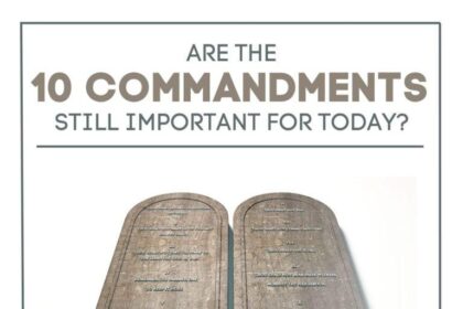 Men’s Rugby World Cup USA 2031: 27 Cities and Regions Gear Up as Hosting Race Heats Up