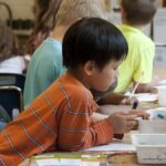 Arizona Falls to the Bottom in Nationwide Public Education Rankings