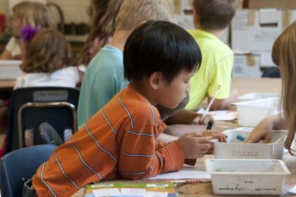 Arizona Falls to the Bottom in Nationwide Public Education Rankings