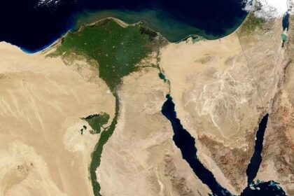 Chicago School Board Member Frank Niles Thomas Resigns from His Position