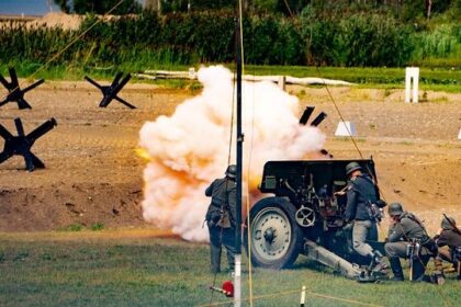 Is There School in Illinois on Veterans Day? Here’s What’s Open and Closed