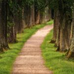 Woman Horrifically Stabbed 15 Times in Terrifying Random Attack on Hiking Trail