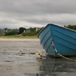 Shocking Footage Captures Two Women Fighting in the Street Before Tragic Fatal Accident in SE Houston