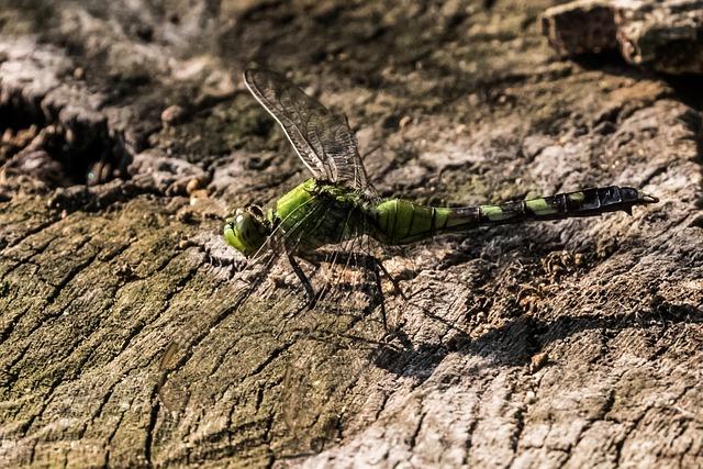 Penn GSE Unveils Exciting Initiative to Bring AI into Philadelphia Classrooms