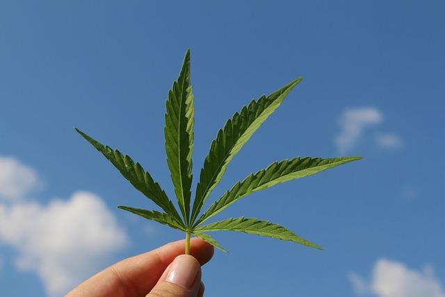 U.S. House Passes THC Ban, Delivering a Major Blow to Texas Hemp Industry