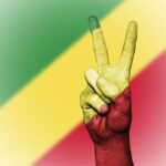 Democratic Congressional Candidate Indicted Over Chicago ICE Protest