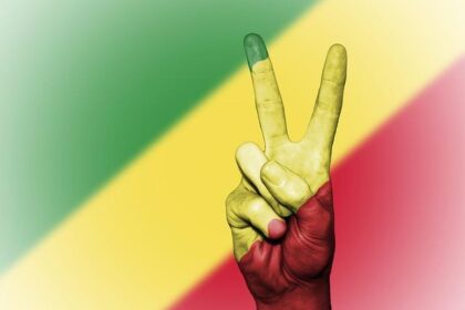 Democratic Congressional Candidate Indicted Over Chicago ICE Protest