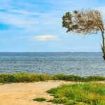 When Governors Collide: Abbott & Newsom in Houston – Houston Public Media