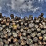 Historic Houston Lumber Buildings Transformed into Chic Boutique Hotel and Event Space