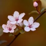 Plum Benefits Introduces Exciting Entertainment Perks for Philadelphia Employers