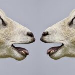 Temple Partners with Philadelphia School District to Support Career and Technical Education Teachers in Earning Certifications