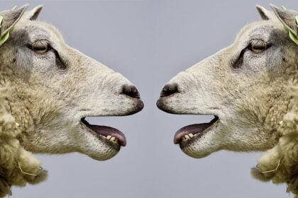 Temple Partners with Philadelphia School District to Support Career and Technical Education Teachers in Earning Certifications