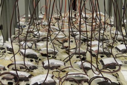 How Wealthy Influencers Are Transforming Universities Like Never Before