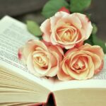 5 Key Insights from Kamala Harris’ Journey to the Presidency Revealed in Her New Book