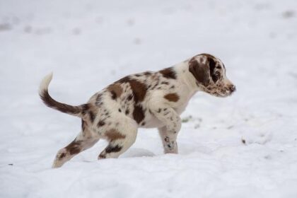 This Week in Politics: Key Events and Insights (Nov. 19, 2025)