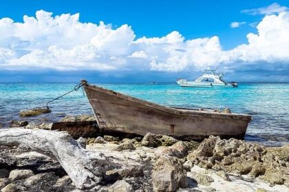 Texas Rep. James Talarico Launches Exciting Bid for U.S. Senate – What You Need to Know