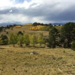 Philly School Board Member Joyce Wilkerson Honored as Nation’s Top Urban Educator