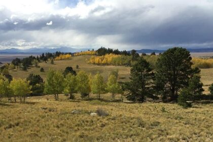 Philly School Board Member Joyce Wilkerson Honored as Nation’s Top Urban Educator