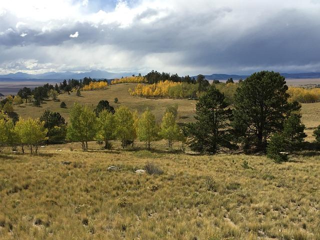 Philly School Board Member Joyce Wilkerson Honored as Nation’s Top Urban Educator