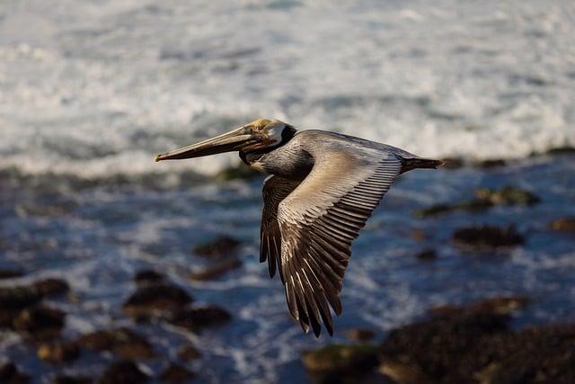 San Diego International Joins 40 US Airports Slashing Major Flight Schedules