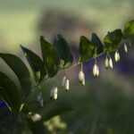 Navy SEAL Chief Accused of War Crimes Is Found Not Guilty of Murder (Published 2019) – The New York Times