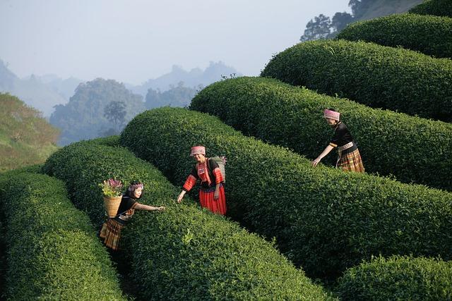 Tours and Merchandise: Explore Aviation Like an Insider