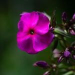 Commanders Reporter Nicki Jhabvala Jumps from Washington Post to The Athletic