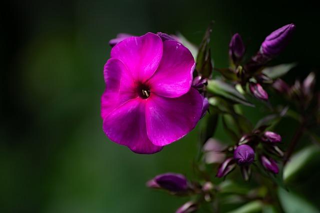 Commanders Reporter Nicki Jhabvala Jumps from Washington Post to The Athletic