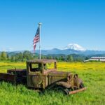 Washington Food Truck Licenses and Permits Requirements (2025 Guide)