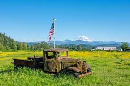 Washington Food Truck Licenses and Permits Requirements (2025 Guide)