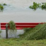 Americans Are Tuning Out the News Like Never Before